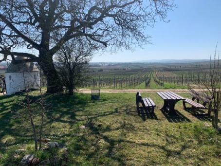 Sitzgruppe Landfrauentrullo