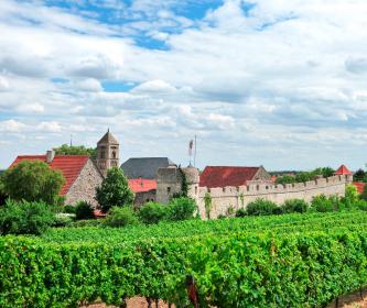 Flörsheim-Dalsheim Burgmauer